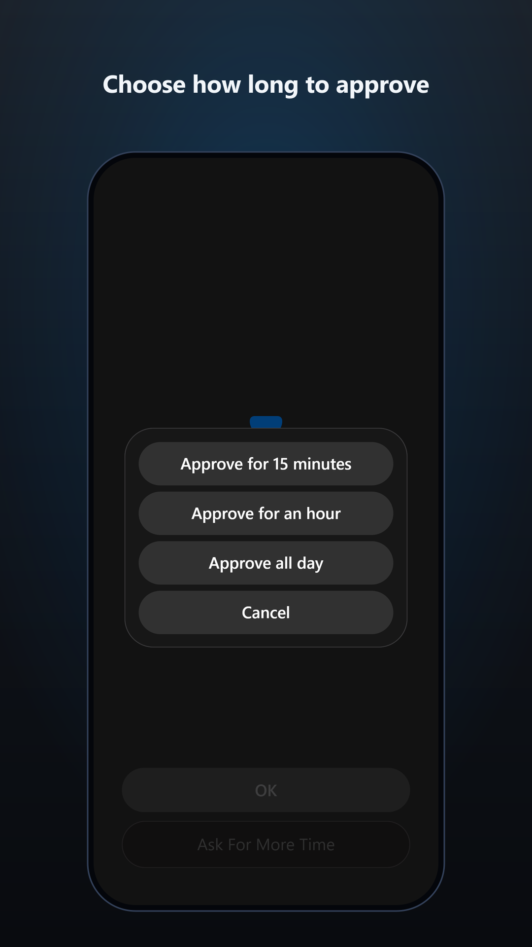 Grants expire and the block screen returns