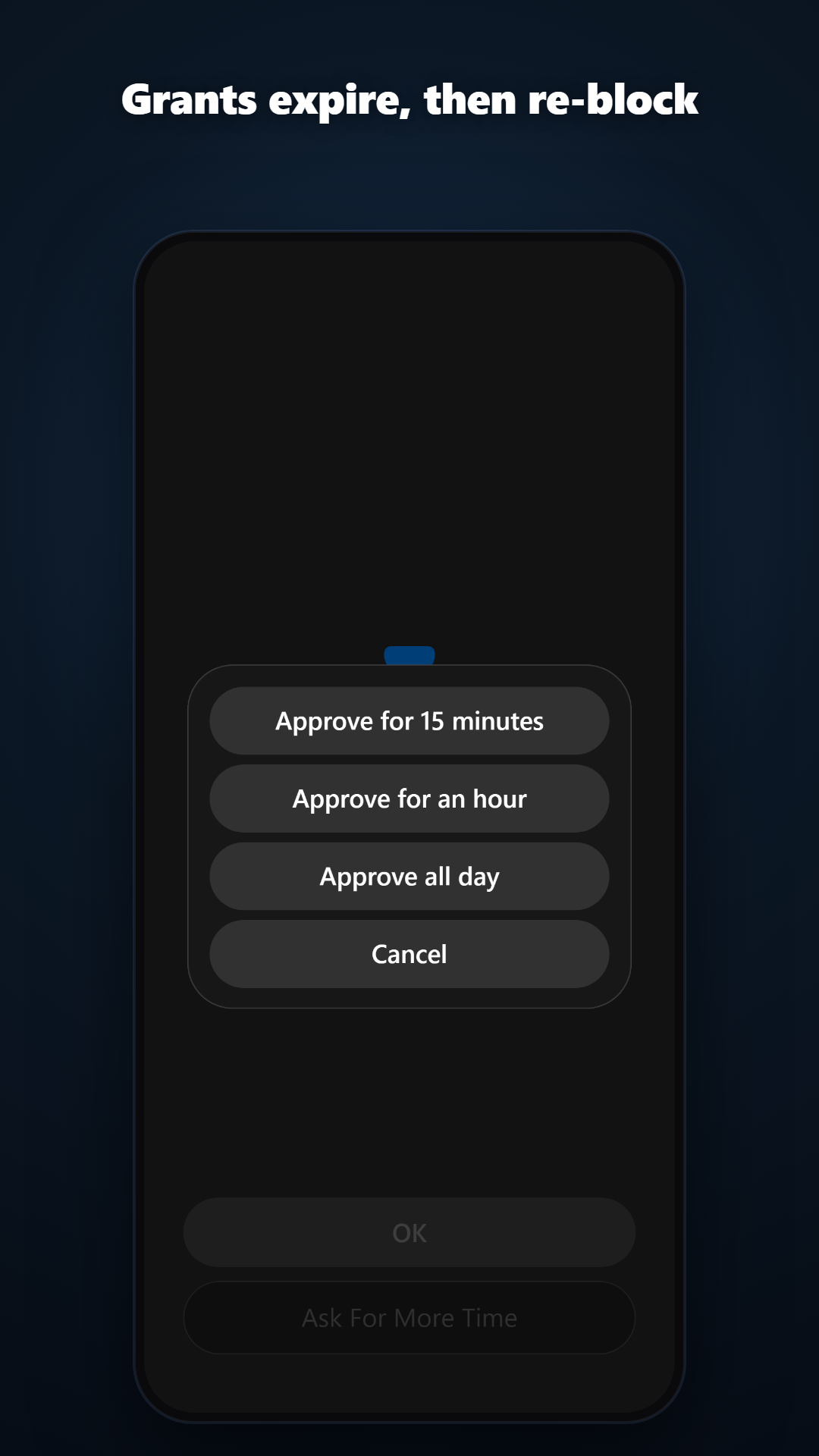 Approve 15 minutes, an hour, or all day — each runs out